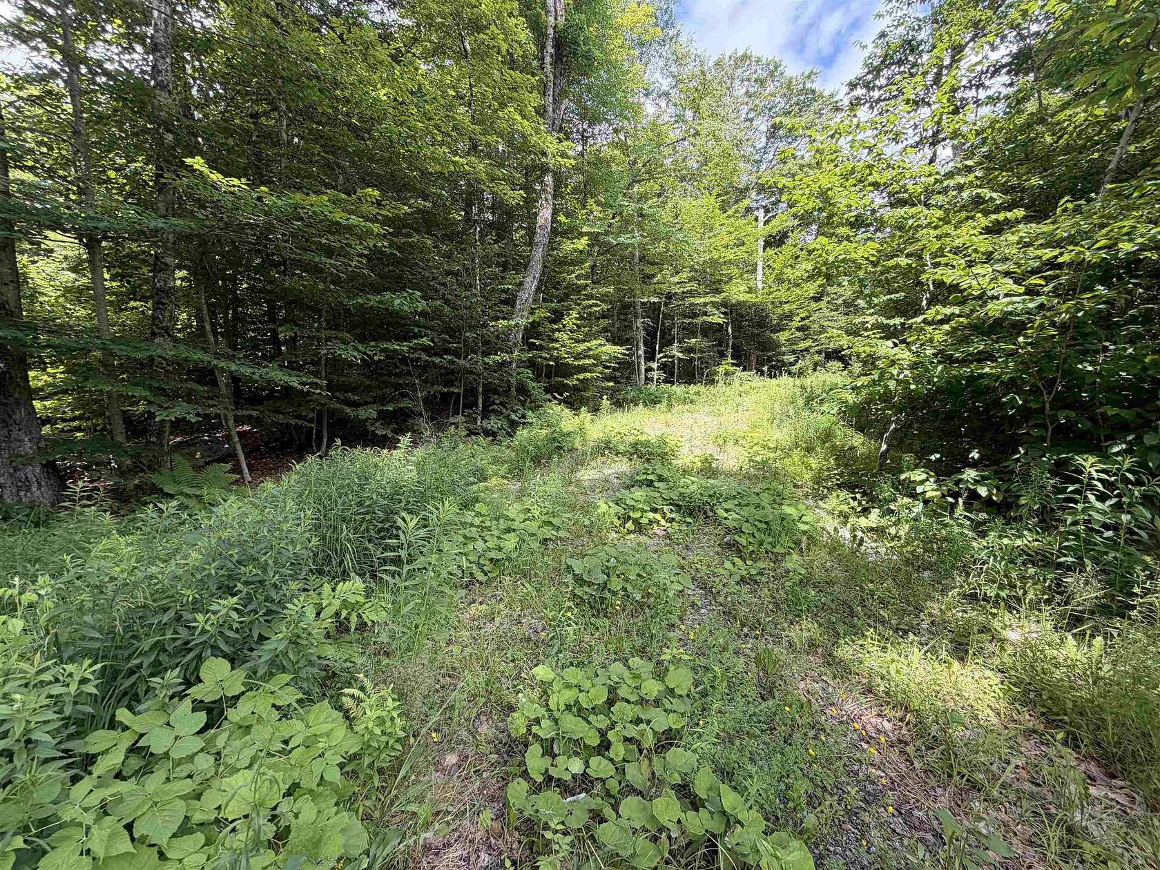 4.5 Acres of Residential Land for Sale in Dover, Vermont