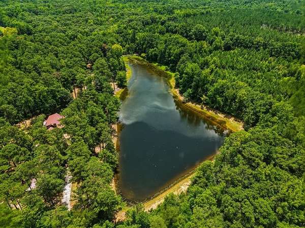 63 Acres of Recreational Land with Home for Sale in Buena Vista, Georgia