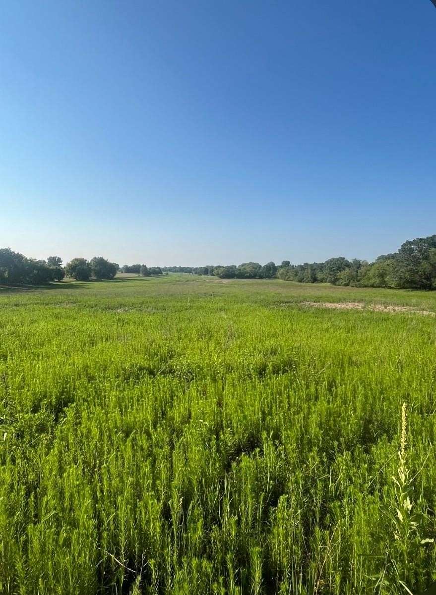 21 Acres of Land for Sale in Berlin, Wisconsin