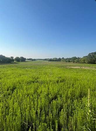 21 Acres of Land for Sale in Berlin, Wisconsin