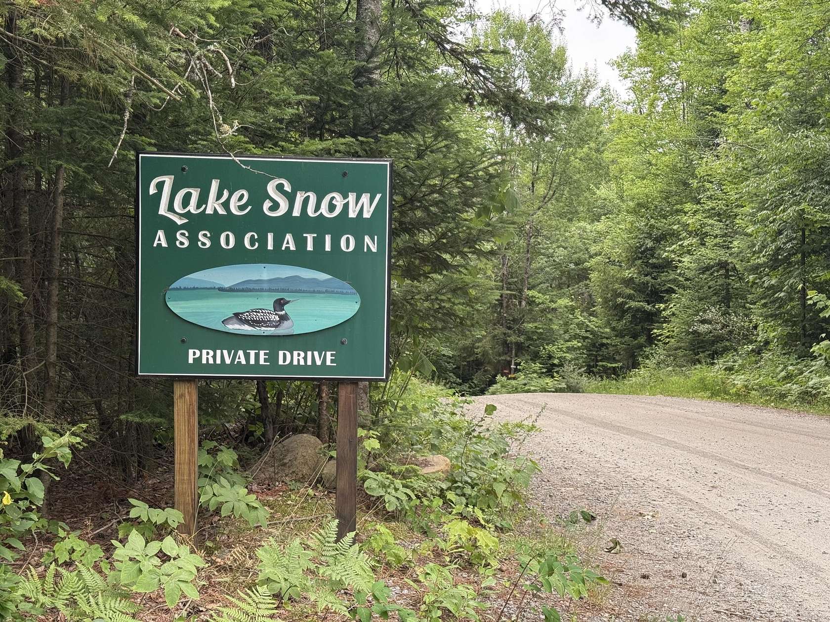 1.17 Acres of Residential Land for Sale in Indian Lake, New York