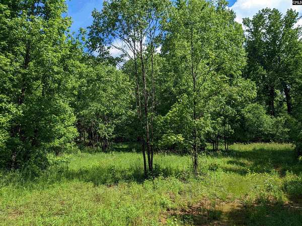 77 Acres of Land for Sale in Union, South Carolina