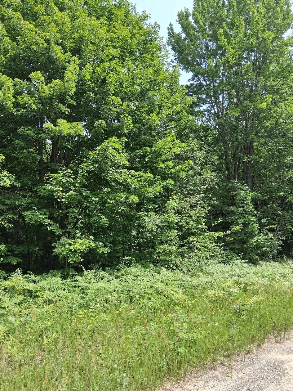 Land for Sale in Mancelona, Michigan