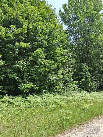 Land for Sale in Mancelona, Michigan