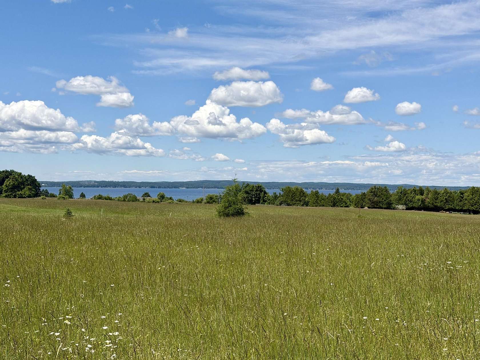 8.1 Acres of Land for Sale in Cheboygan, Michigan