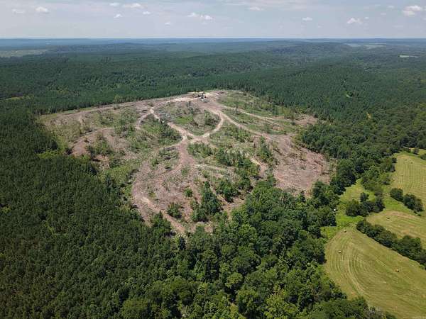 40 Acres of Land for Sale in Langley, Arkansas