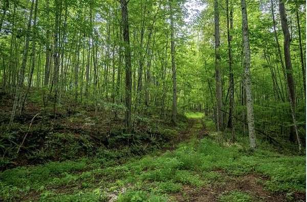 1.2 Acres of Land for Sale in Zoe, Kentucky