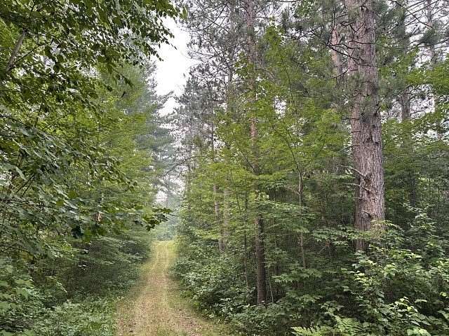 73 Acres of Recreational Land for Sale in Barnes Town, Wisconsin