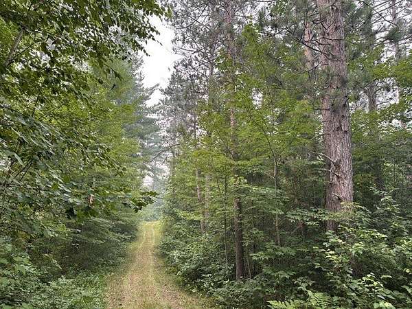 73 Acres of Recreational Land for Sale in Barnes Town, Wisconsin