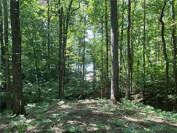 0.73 Acres of Residential Land for Sale in Gainesville, Georgia