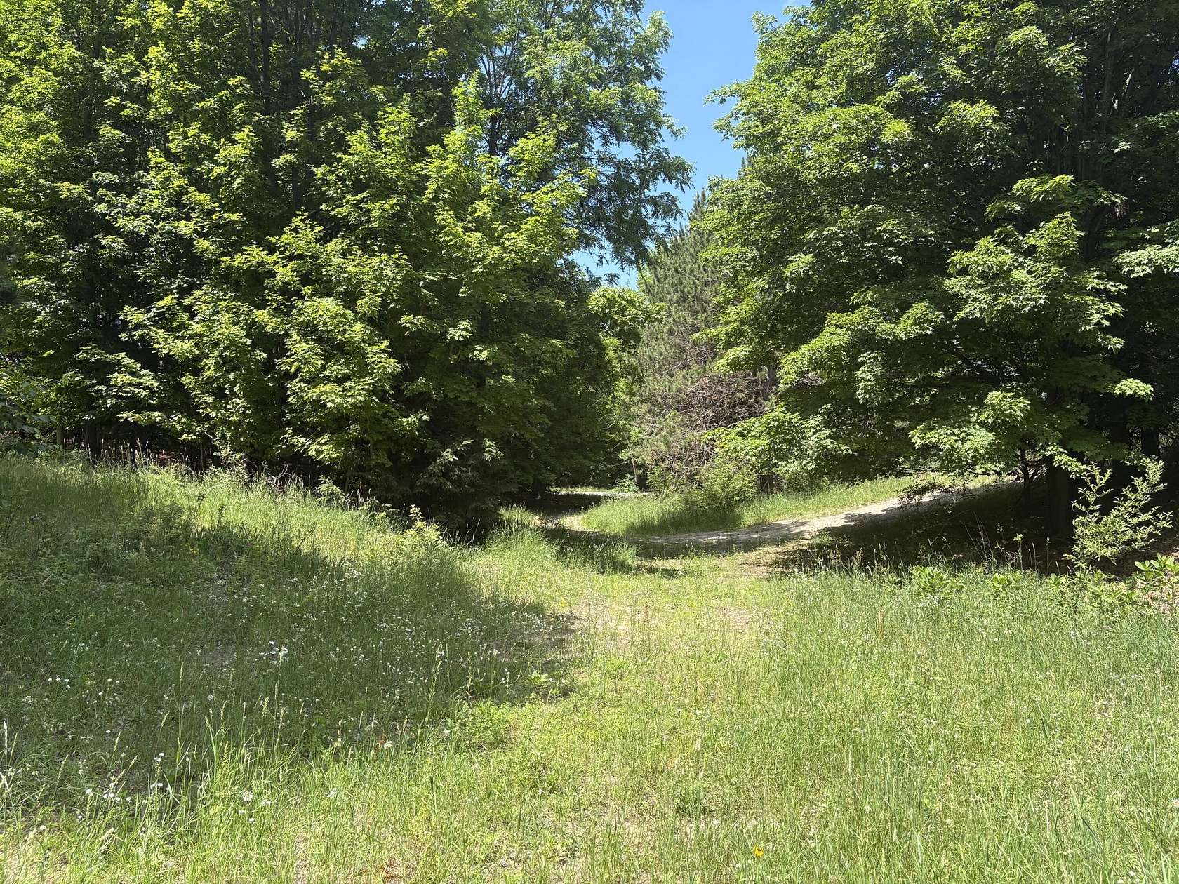 11 Acres of Land for Sale in Frankfort, Michigan