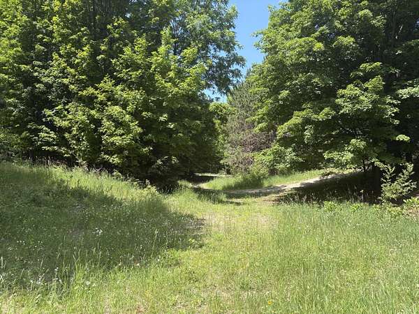 11 Acres of Land for Sale in Frankfort, Michigan