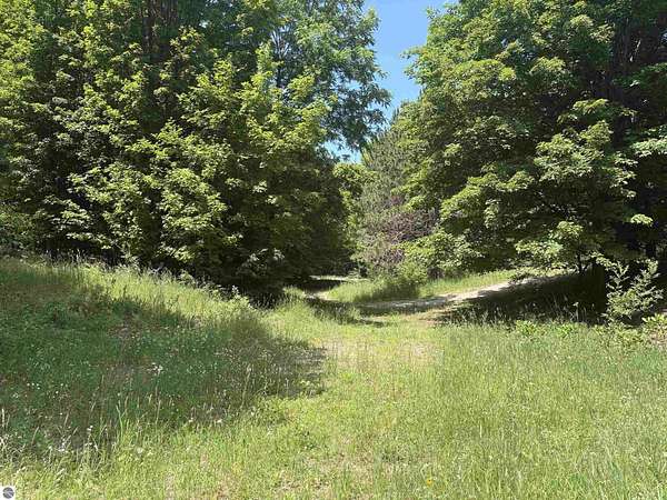 11 Acres of Land for Sale in Frankfort, Michigan