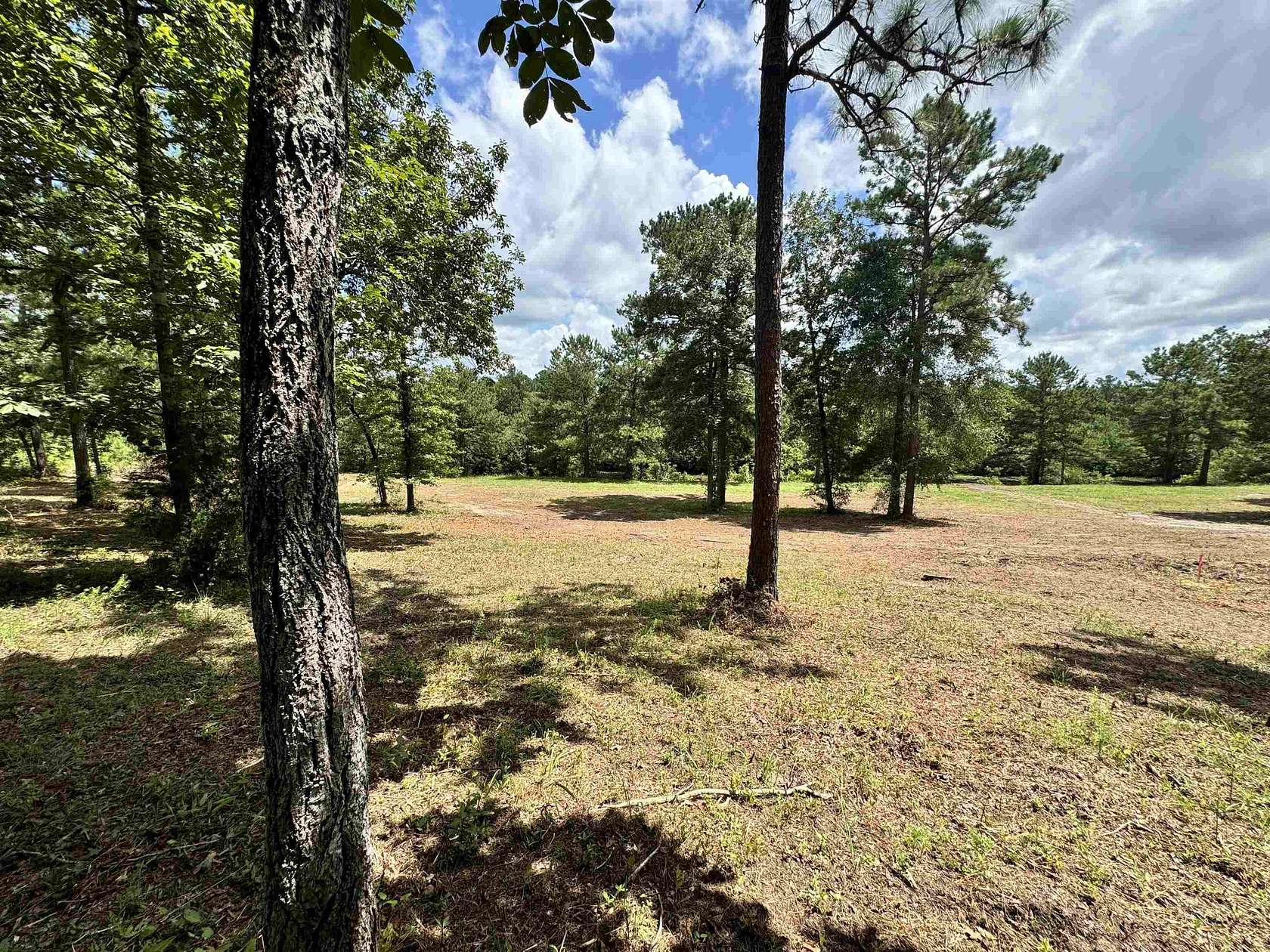1 Acre of Land for Sale in Andalusia, Alabama