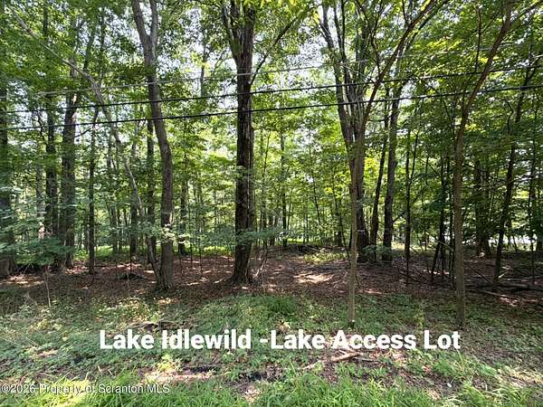 0.99 Acres of Land for Sale in Clifford Township, Pennsylvania