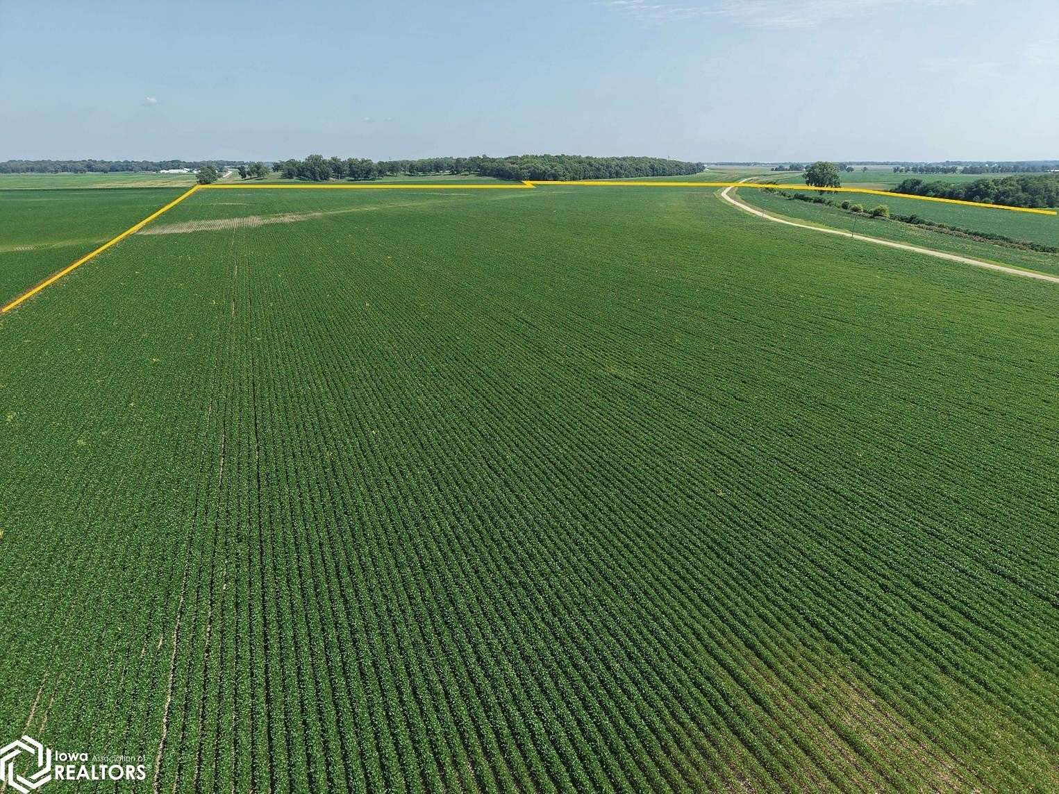 169 Acres of Agricultural Land for Auction in Geneseo, Illinois