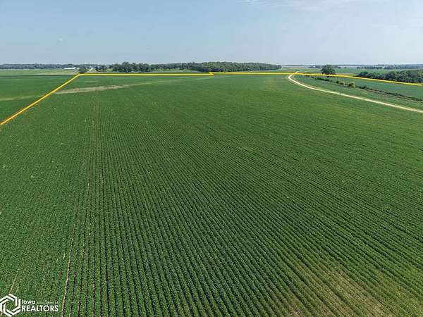 169 Acres of Agricultural Land for Auction in Geneseo, Illinois
