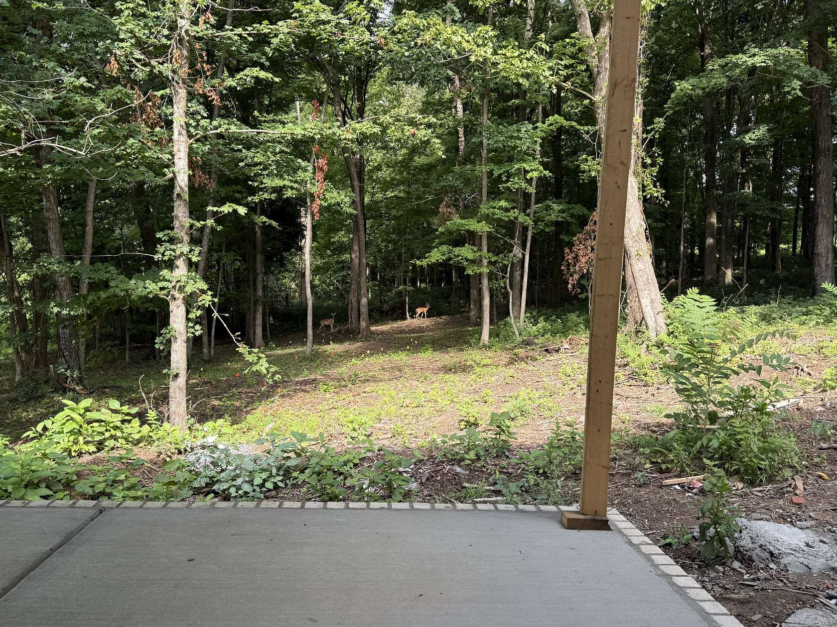 1.5 Acres of Land with Home for Sale in Lebanon, Tennessee