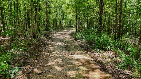 100 Acres of Land for Sale in Waynesboro, Tennessee