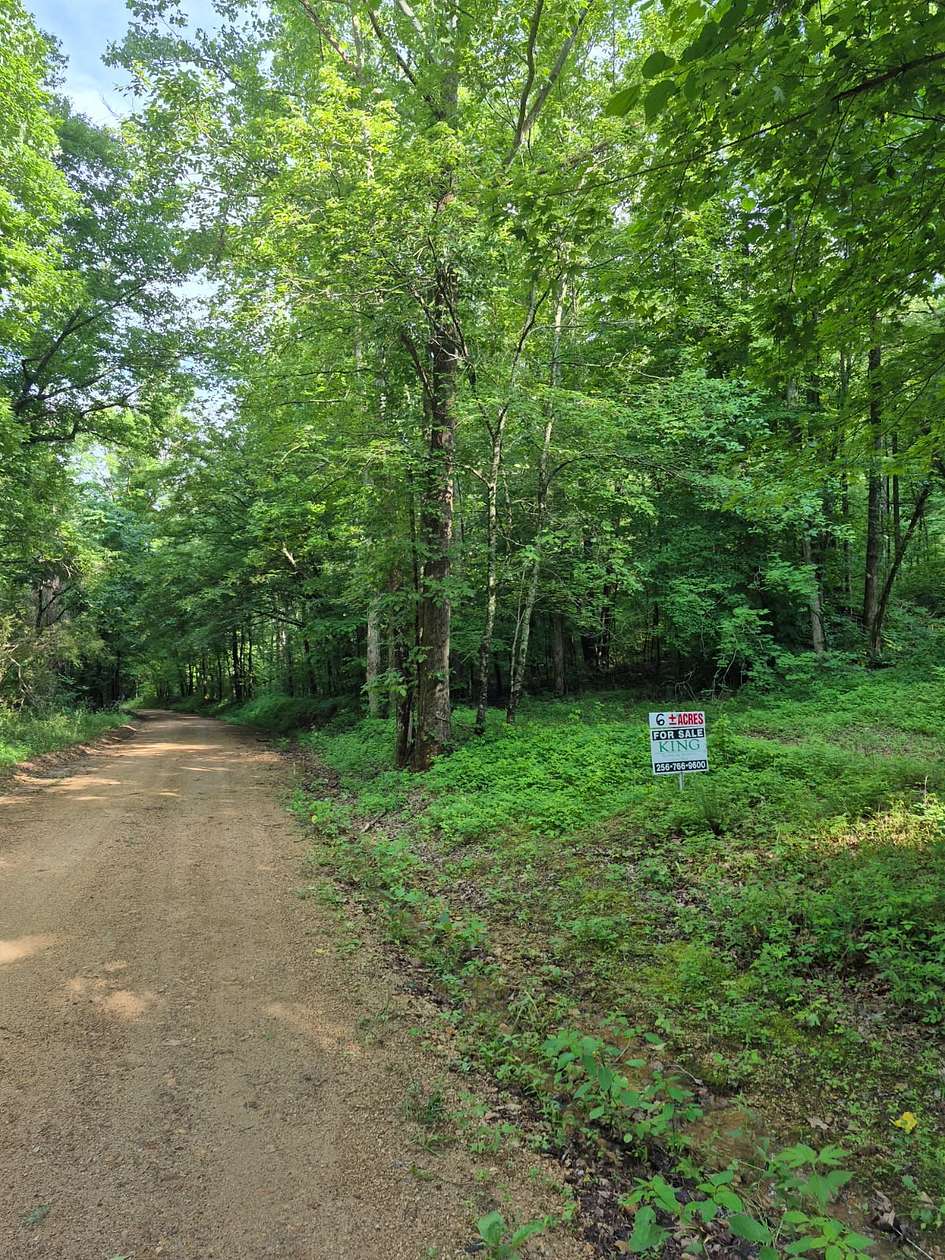 6.4 Acres of Land for Sale in Lexington, Alabama