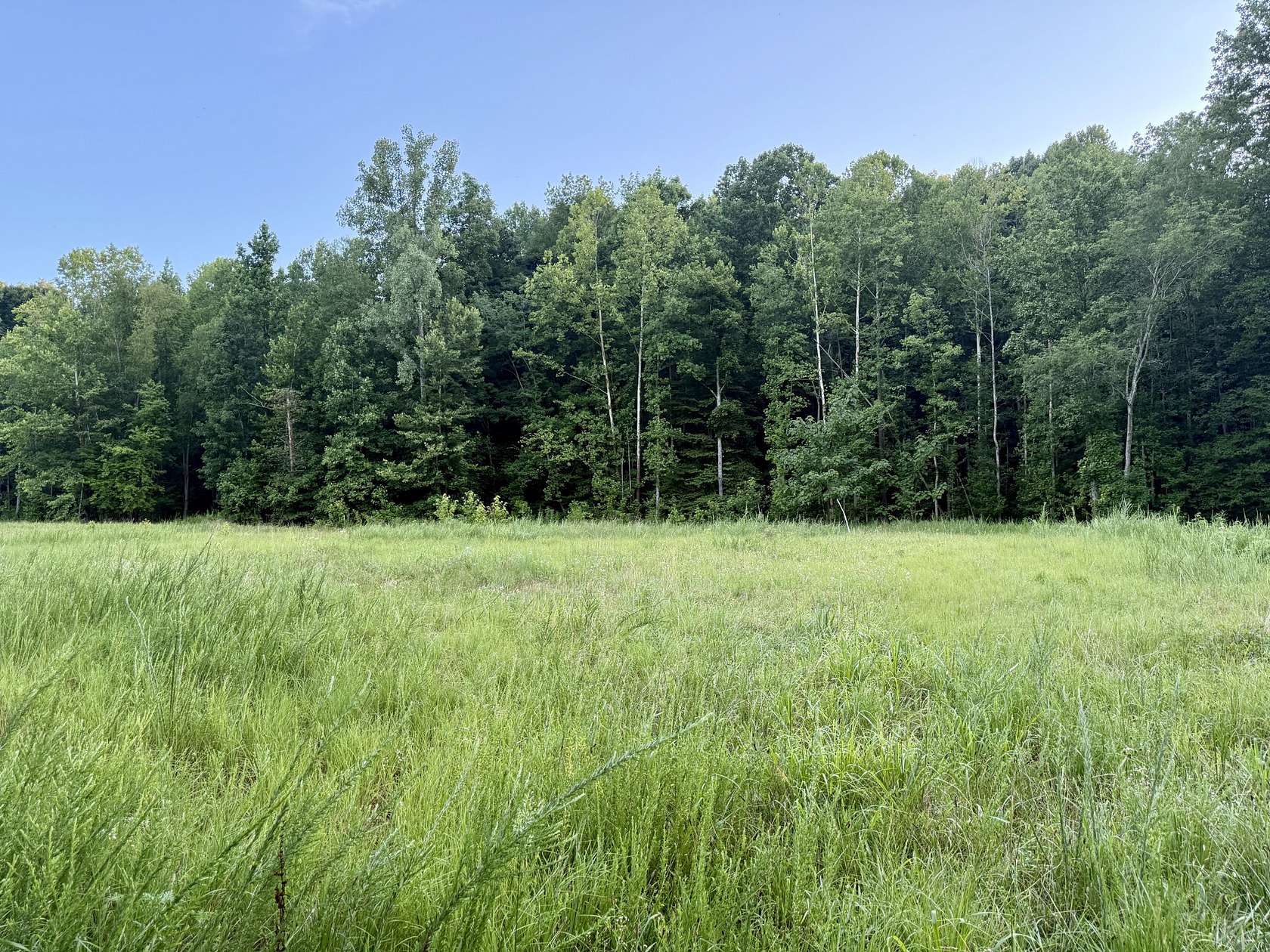 5 Acres of Residential Land for Sale in Waverly, Tennessee