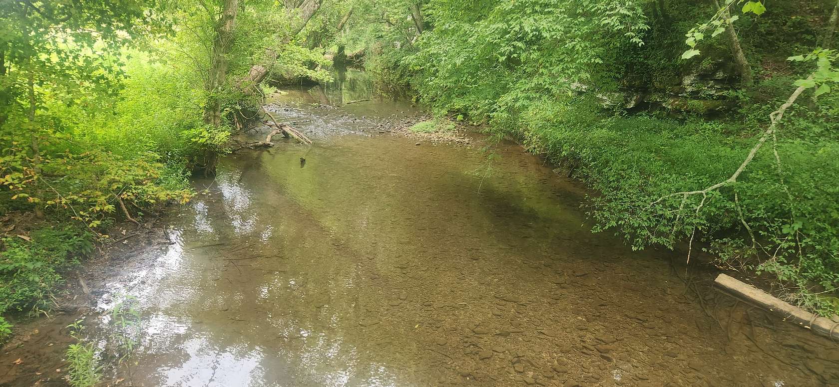 20.9 Acres of Recreational Land for Sale in Bon Aqua, Tennessee