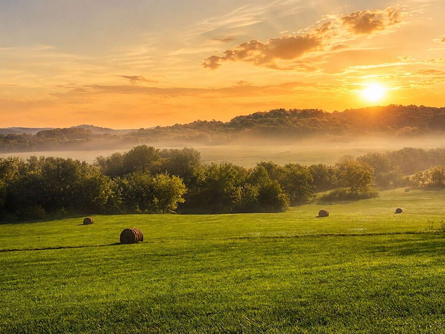 20 Acres of Land for Sale in Thompson's Station, Tennessee