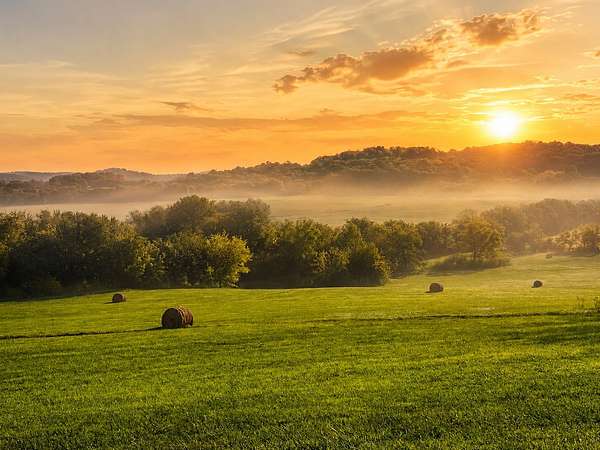 20 Acres of Land for Sale in Thompson's Station, Tennessee