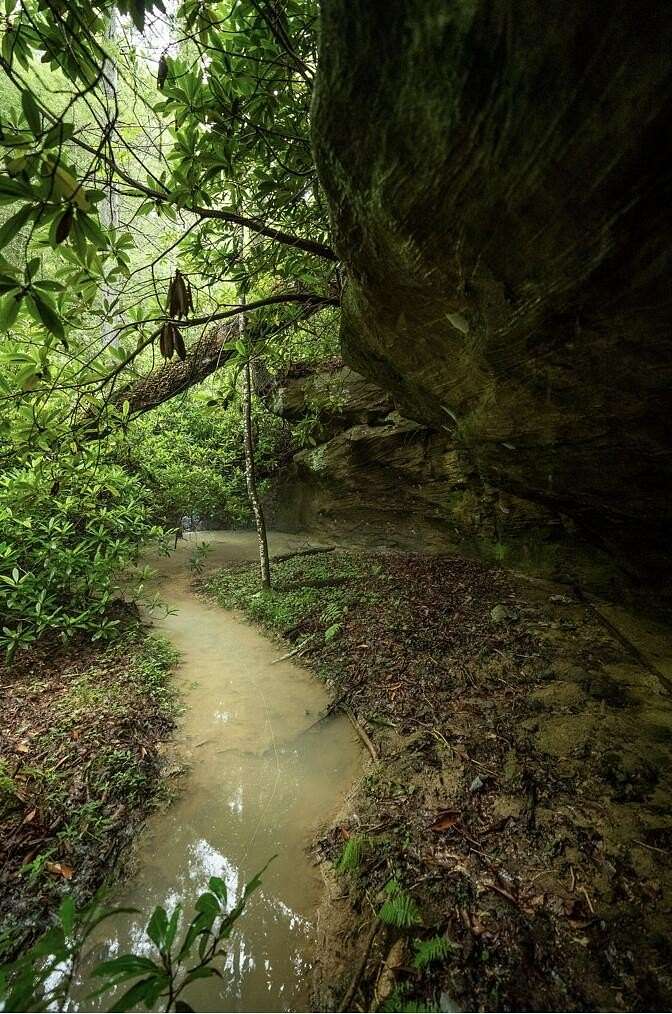 1.1 Acres of Residential Land for Sale in Zoe, Kentucky