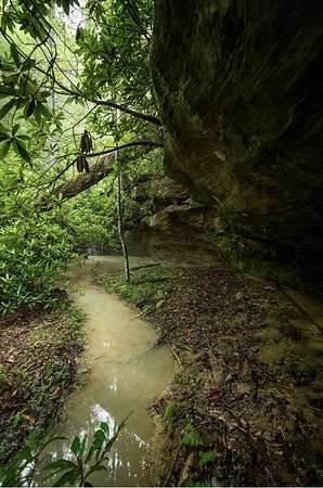 1.1 Acres of Residential Land for Sale in Zoe, Kentucky