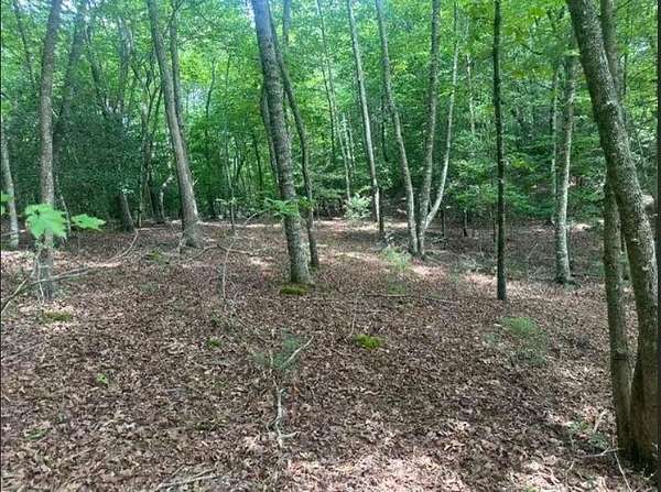 1.89 Acres of Residential Land for Sale in Hayesville, North Carolina