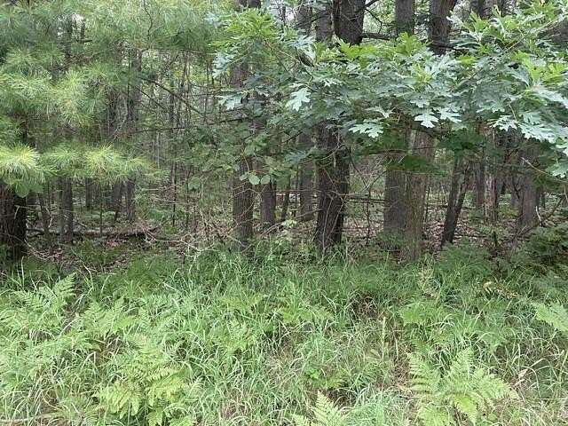 12 Acres of Recreational & Residential Land for Sale in Indian River, Michigan