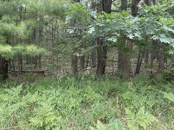 12 Acres of Recreational & Residential Land for Sale in Indian River, Michigan