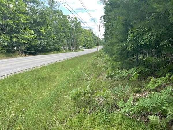 12 Acres of Recreational & Residential Land for Sale in Indian River, Michigan