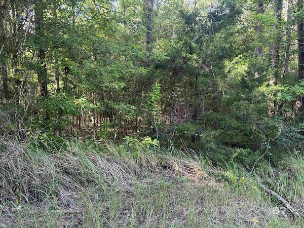1.2 Acres of Residential Land for Sale in Stockton, Alabama