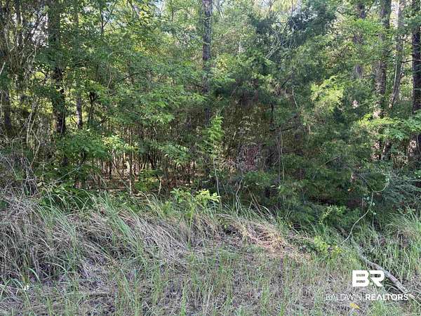 1.2 Acres of Residential Land for Sale in Stockton, Alabama