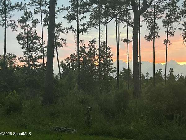 1.4 Acres of Residential Land for Sale in Townsend, Georgia