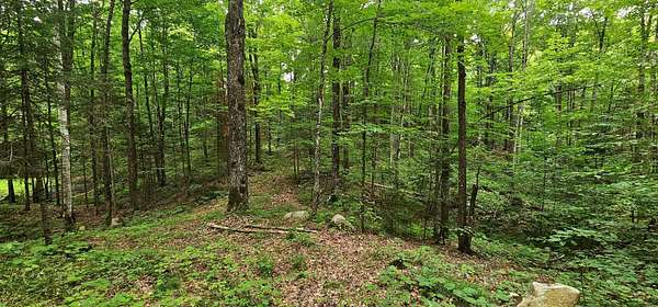 10 Acres of Recreational Land for Sale in Gleason, Wisconsin