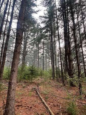 12 Acres of Land for Sale in Luzerne, Michigan