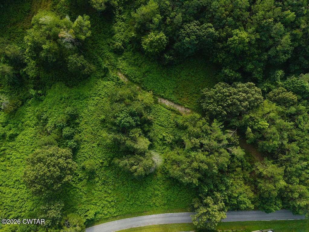 36.3 Acres of Agricultural Land for Sale in Enville, Tennessee