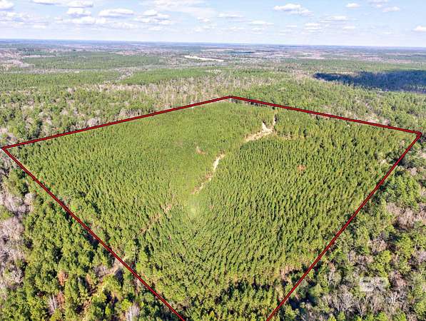 46 Acres of Land for Sale in Bay Minette, Alabama