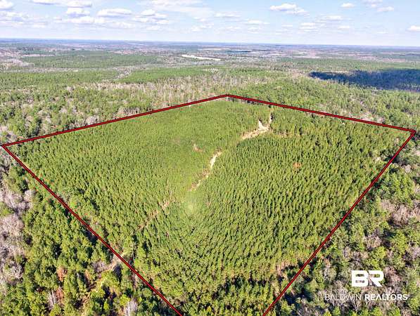 46 Acres of Land for Sale in Bay Minette, Alabama