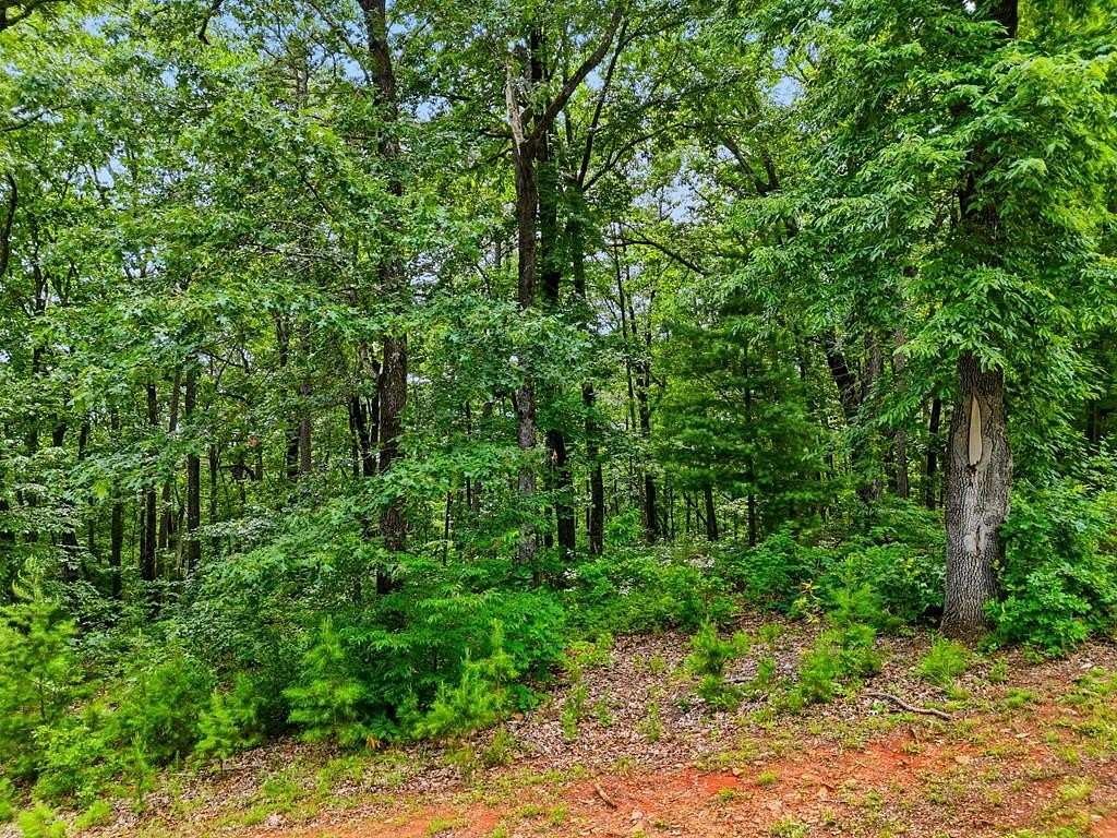0.05 Acres of Residential Land for Sale in Ellijay, Georgia