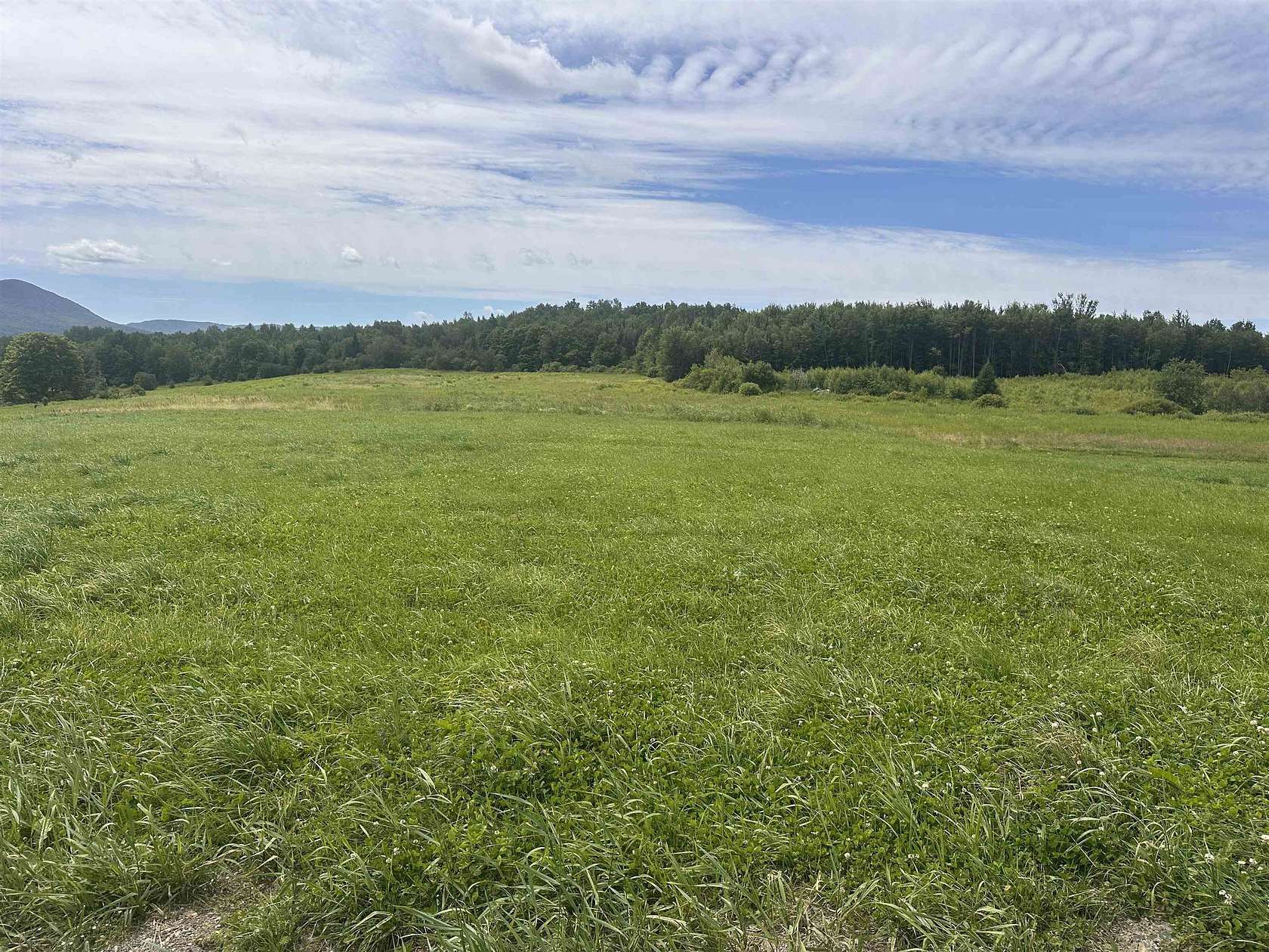 74.2 Acres of Land for Sale in Hyde Park, Vermont