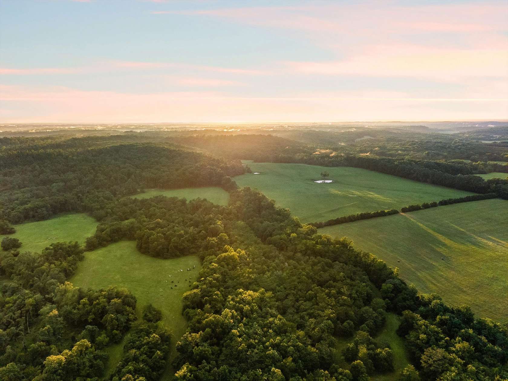 661 Acres of Land for Sale in Bath Springs, Tennessee