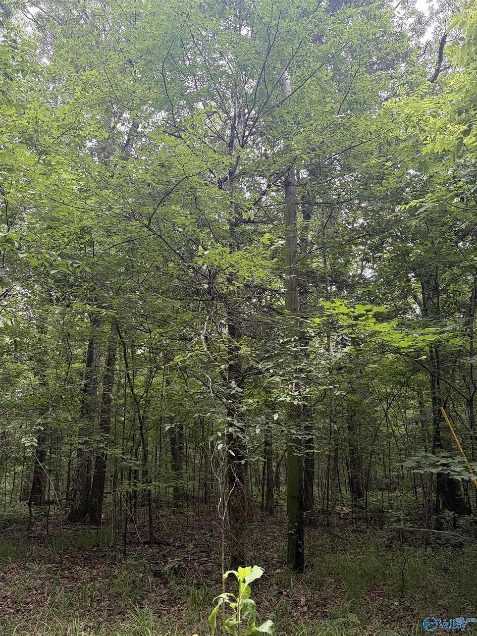 38 Acres of Recreational & Residential Land for Sale in New Hope, Alabama