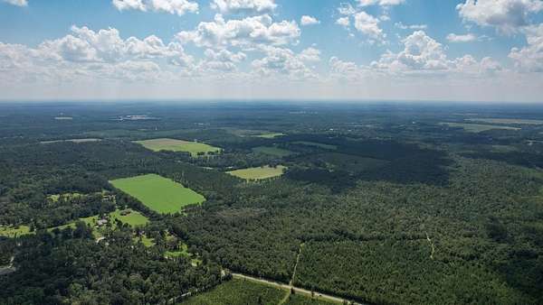 146 Acres of Recreational Land for Sale in Quincy, Florida