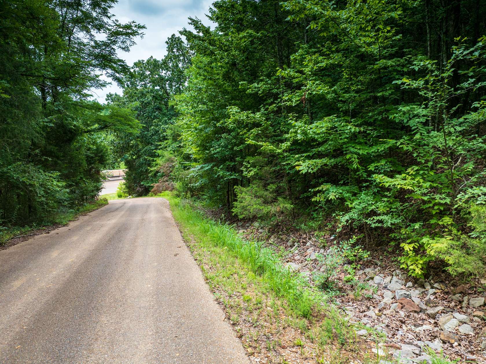 21.6 Acres of Land for Sale in Selmer, Tennessee