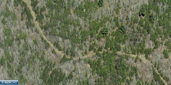 40 Acres of Recreational Land for Sale in Orr, Minnesota