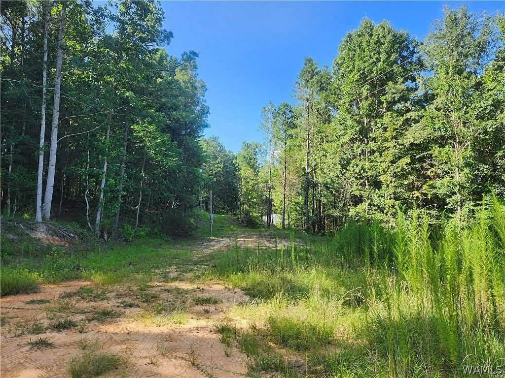 2.12 Acres of Residential Land for Sale in Berry, Alabama